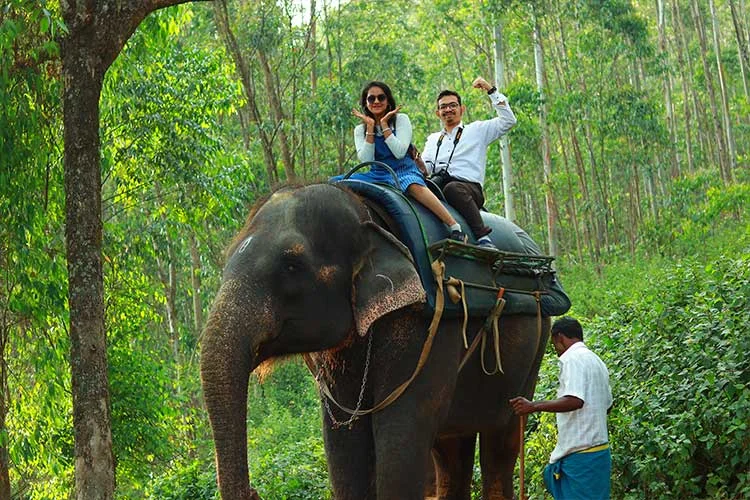 Elephant Ride 2